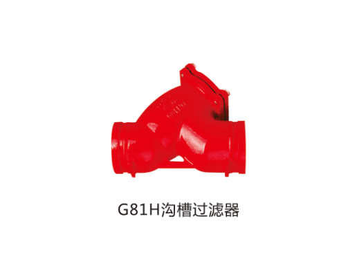 廣東G81H溝槽過(guò)濾器