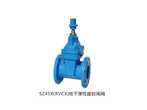 廣東SZ45X（RVCX）地下彈性座封閘閥